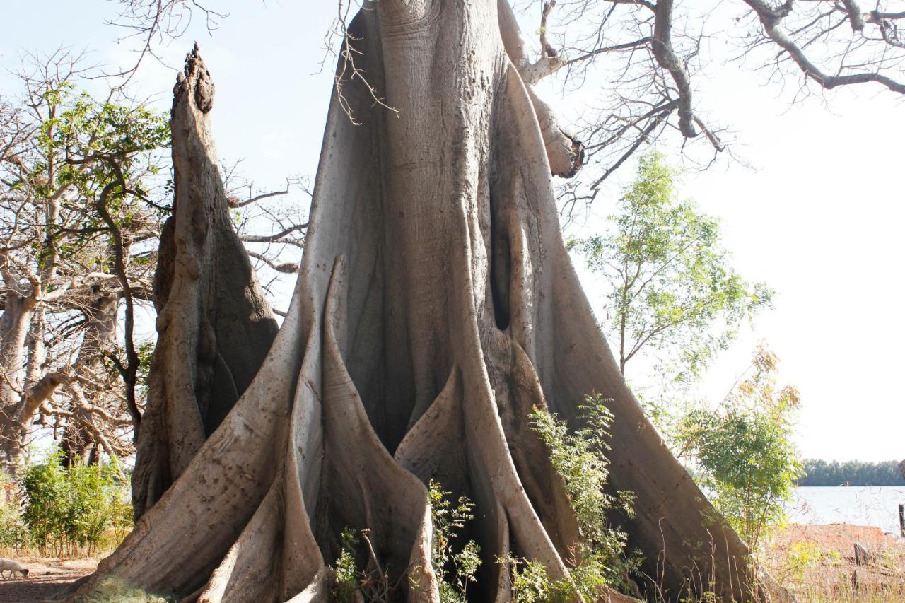 Bintang Bolong Lodge Kültér fotó
