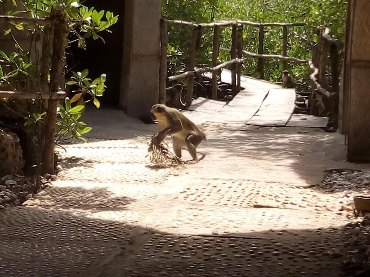 Bintang Bolong Lodge Kültér fotó